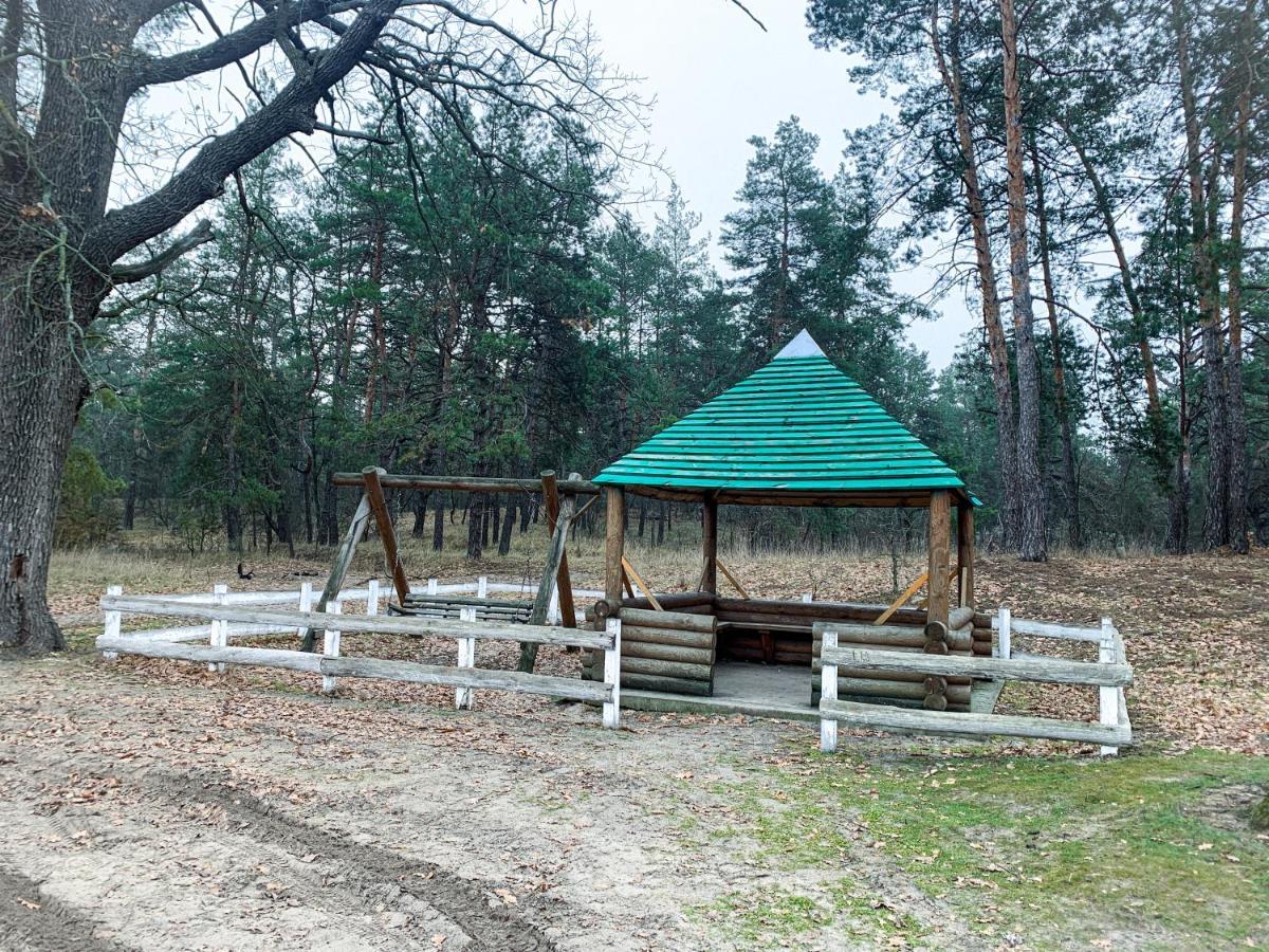 Бабусина Хатка Leplyavo Exterior photo